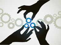 Además de una gestión integral y personalizada, ofrecemos una amplia gama de servicios individuales y planes de gestión sugerida.